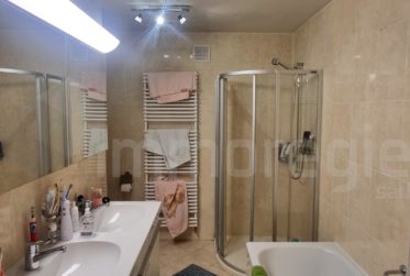 Magnifique appartement de 2,5 pièces en rez-de-jardin avec vue imprenable sur le lac et les montagnes