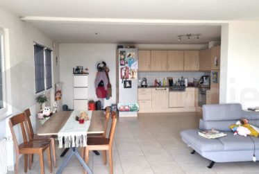 Magnifique appartement de 2,5 pièces en rez-de-jardin avec vue imprenable sur le lac et les montagnes