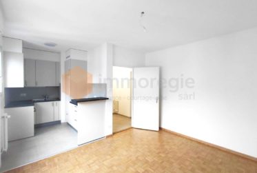 Bel appartement fraîchement rénové de 2 pièces au 1er étage en plein du centre-ville