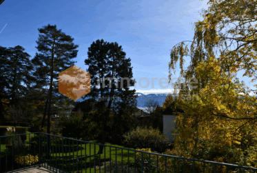 6.5 Rooms Maison, Maison à rénover