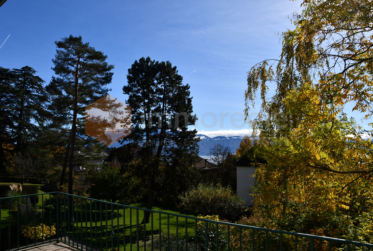 OBJET RARE - Villa des années 30 dans un quartier résidentiel de chailly sur lausanne