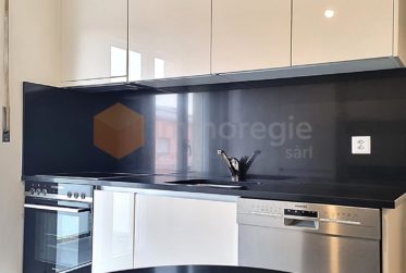 Bel appartement de 3,5 pièces au 1er étage avec balcons