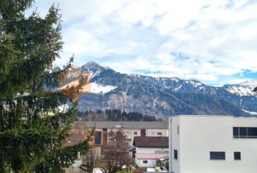 Bel appartement de 3,5 pièces au 1er étage avec balcons